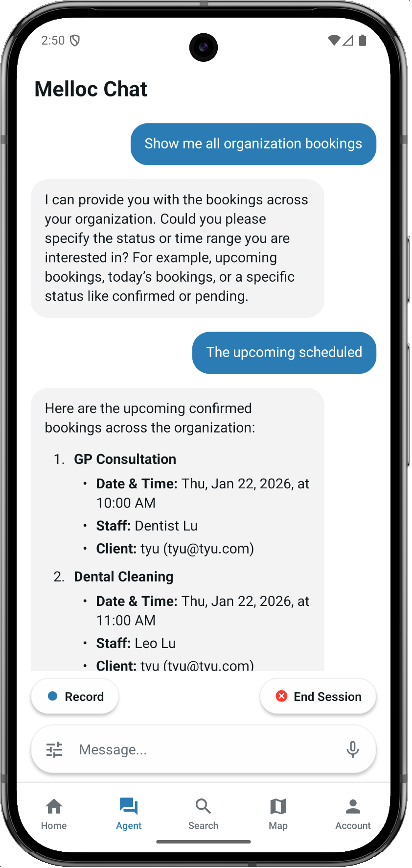 Provider AI chat for bookings
